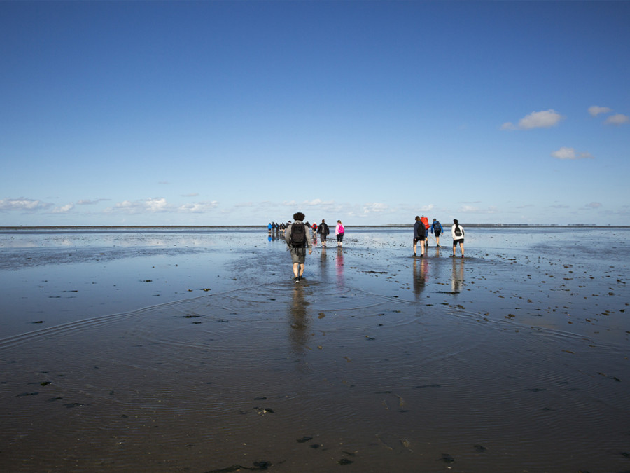 Wadlopen tips Wadlopen tips