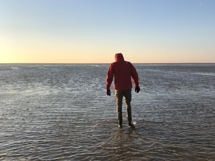 Wadlopen op Terschelling Wadlopen op Terschelling