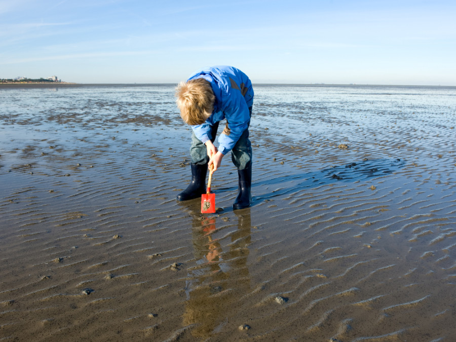 Wadlopen met kind Wadlopen met kind