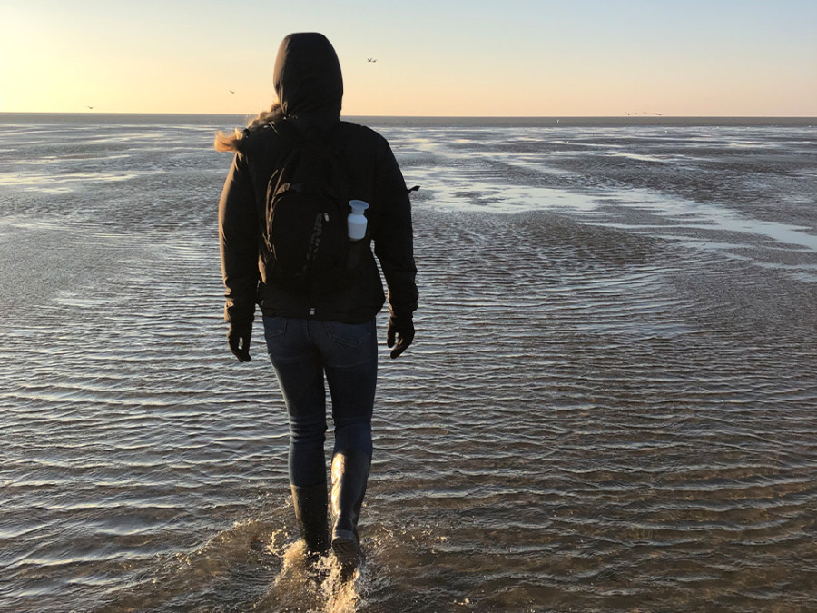 Wadlopen Terschelling Wadlopen Terschelling