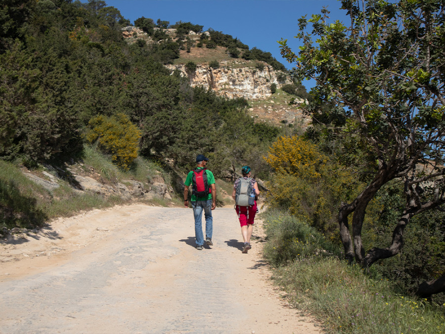 Akamas hikes Akamas hikes