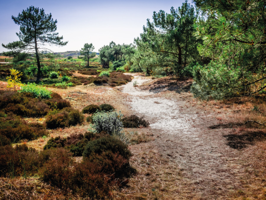 Wandelingen najaar Wandelingen najaar