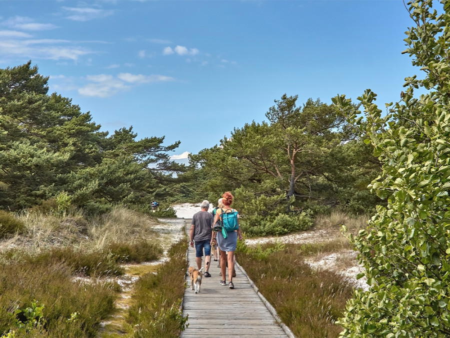 Langeafstandspad Denemarken Langeafstandspad Denemarken