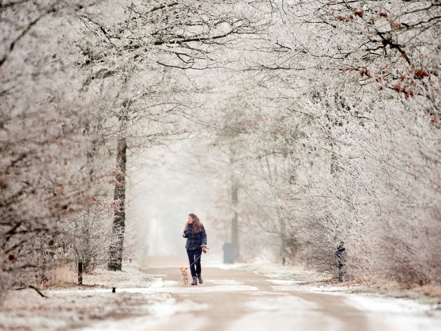 Wandelen Wandelen