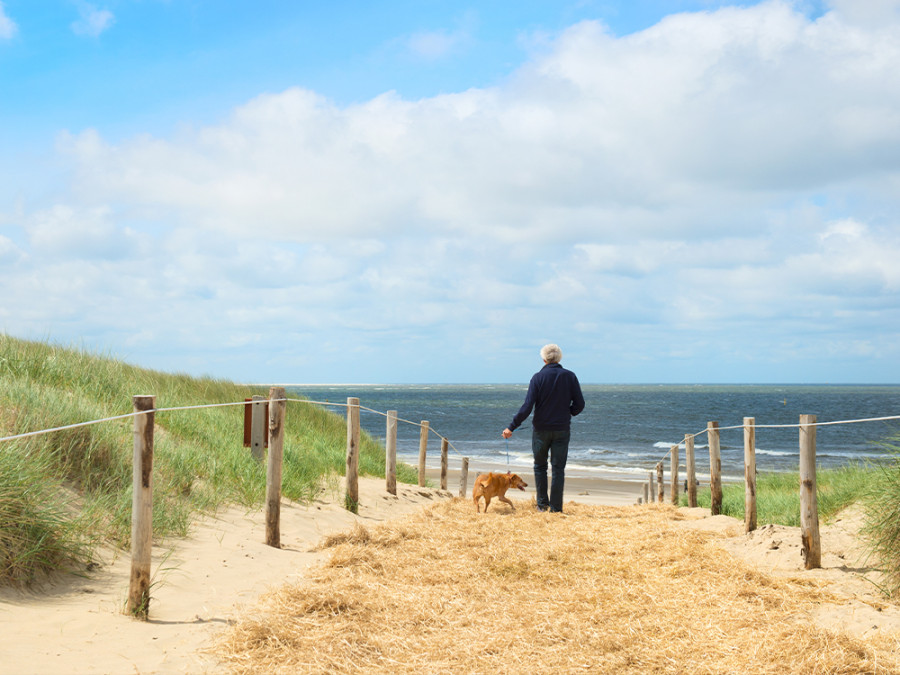 Wandelroutes Texel met hond Wandelroutes Texel met hond