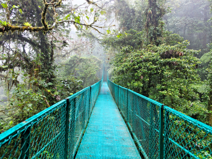 Monteverde Monteverde