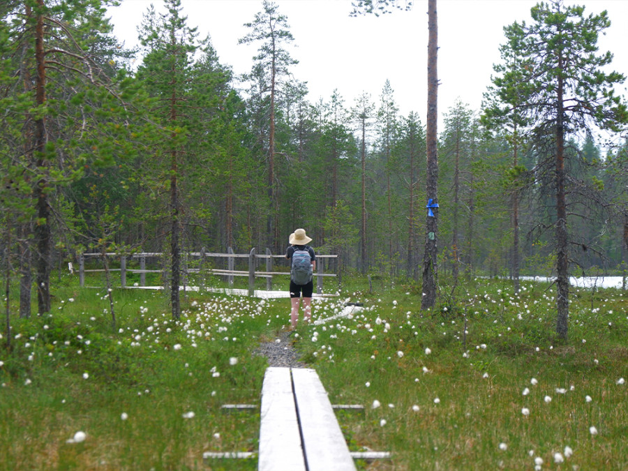 Wandelen in het noorden van Finland