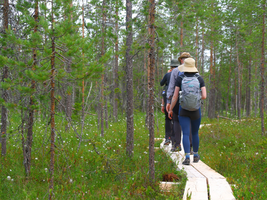 Fins Lapland zomer Fins Lapland zomer