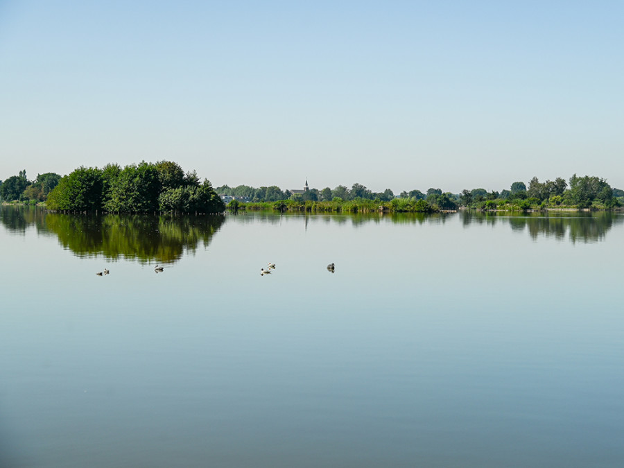 Reeuwijkse Plassen Reeuwijkse Plassen