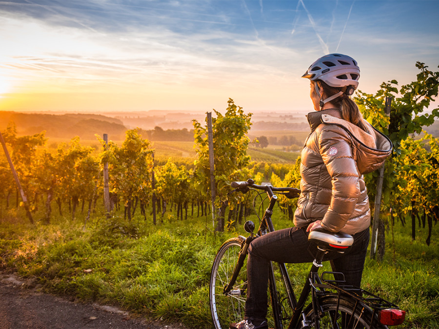 Mooiste fietsroutes Rijnland-Palts Mooiste fietsroutes Rijnland-Palts