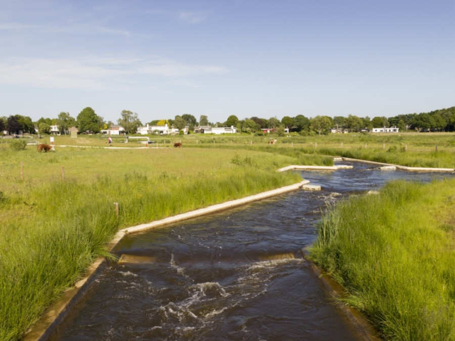 Wildwaterbaan Wildwaterbaan