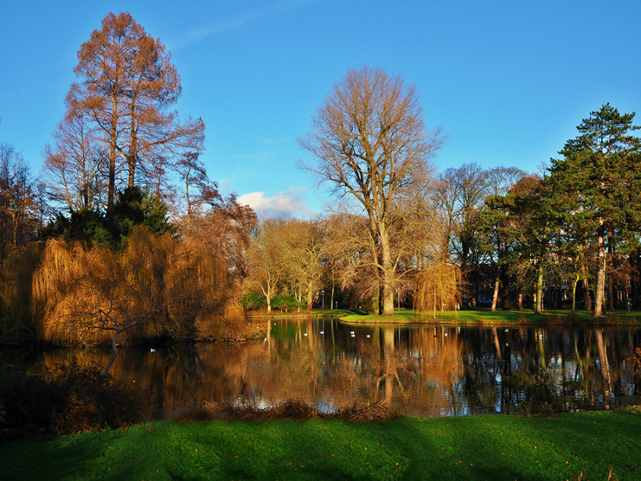 Utrecht Wilhelminapark Utrecht Wilhelminapark