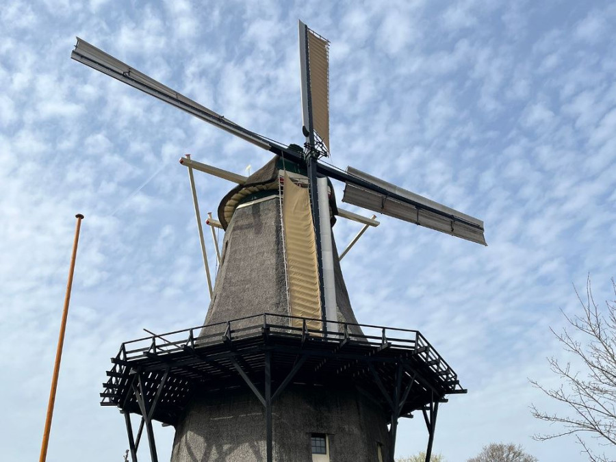 Molen de Zandhaas Molen de Zandhaas
