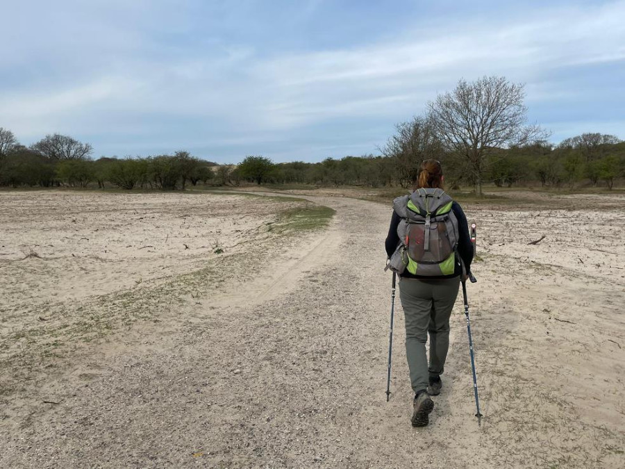 Wandelen Wandelen