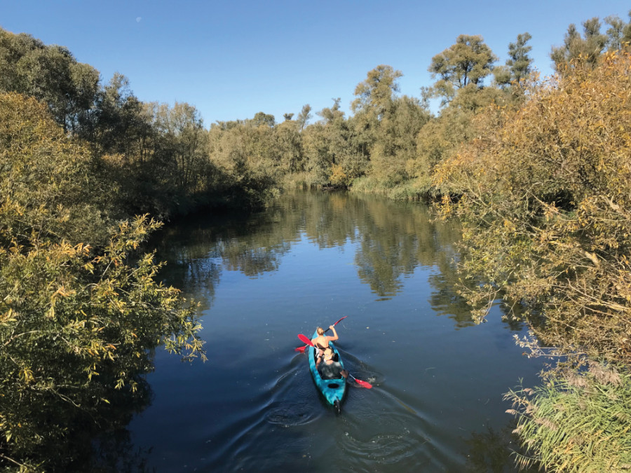Kajak avontuur Biesbosch Kajak avontuur Biesbosch