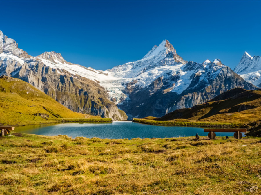 Grindelwald Grindelwald