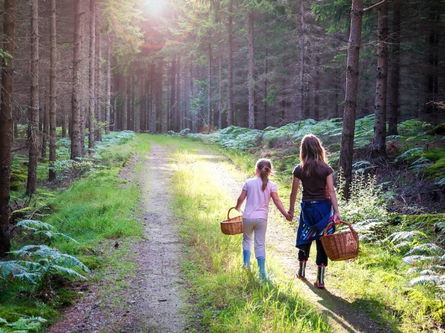 Vakantie Zweden Vakantie Zweden