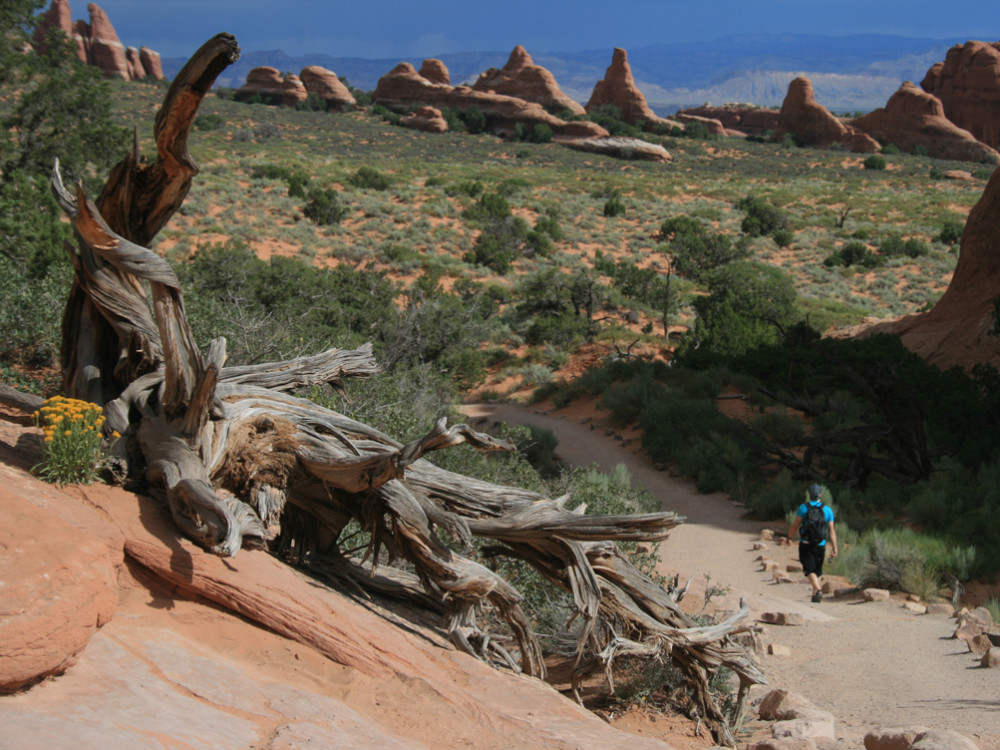 Arches national park, VS