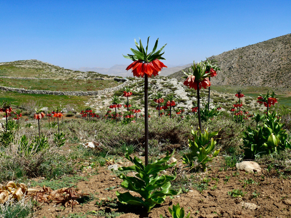 Fars provincie, Iran