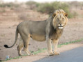 Tanzania
