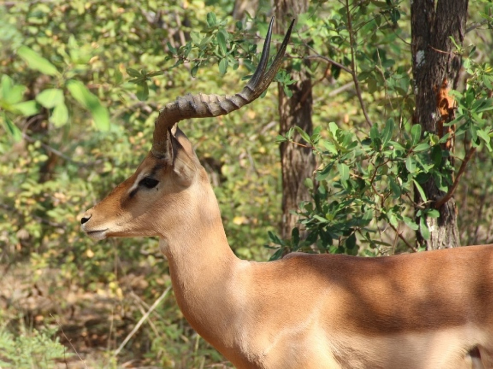 Serengeti National Park