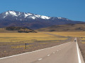 Noord-Argentinië roadtrip