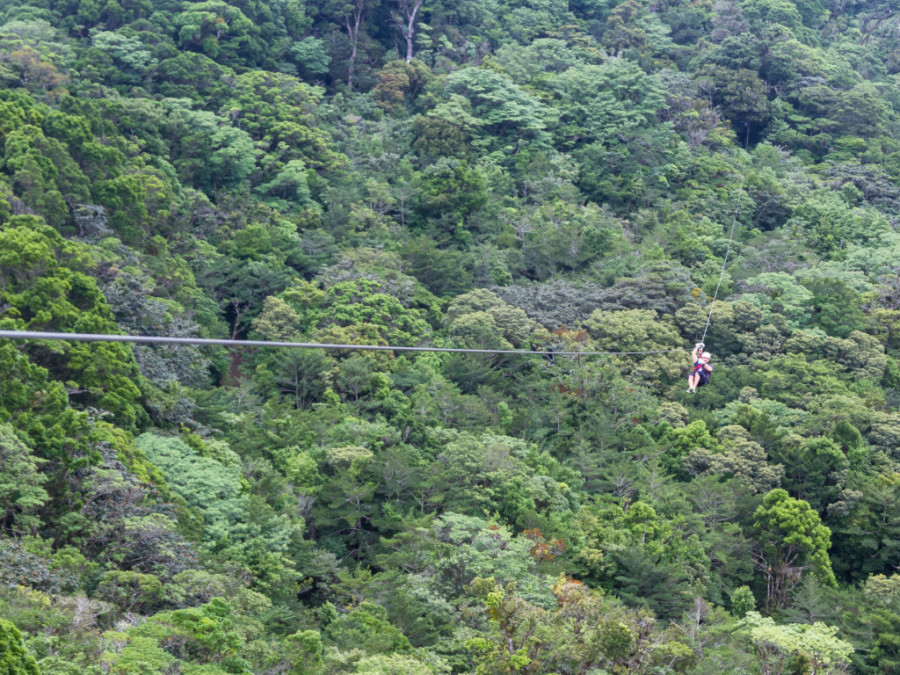 Zipline Monteverde