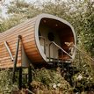 Afbeelding voor Rheezerwold - Anthropod