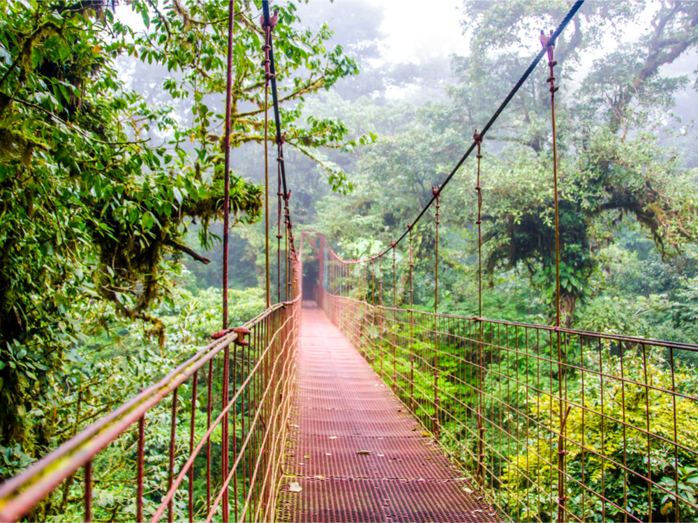 Wandelen in Monteverde