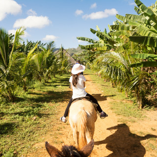 Afbeelding voor Paardrijden in Vinales