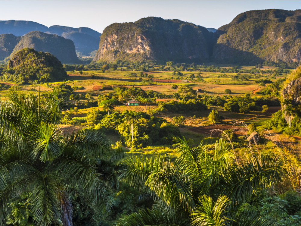 Viñales