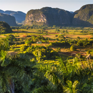 Afbeelding voor Viñales in Cuba