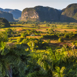 Afbeelding voor Viñales in Cuba