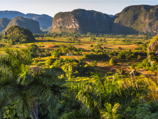 Afbeelding voor Viñales in Cuba