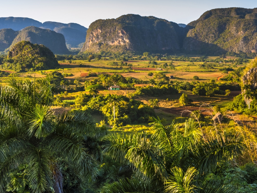 Natuur op Cuba