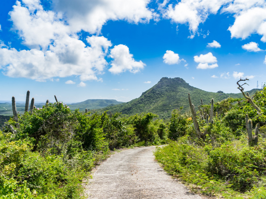 Berg Curaçao