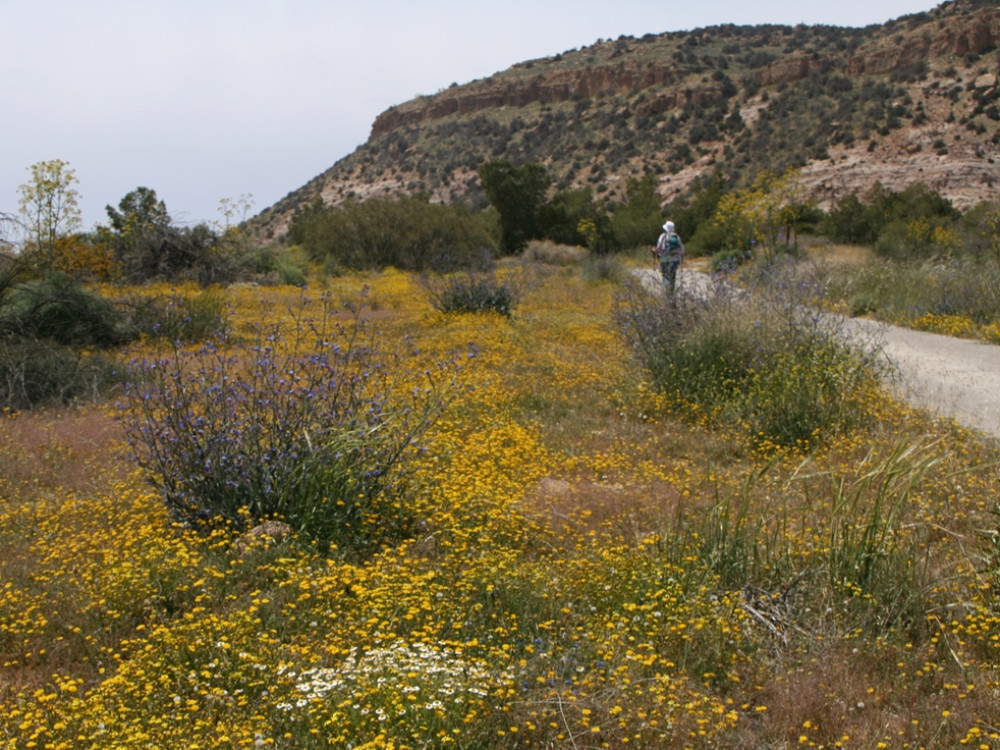 Dana NP in de lente