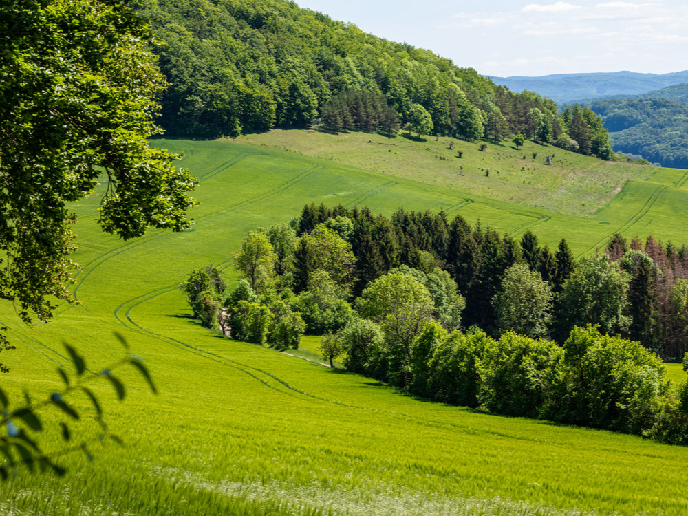 Thüringen