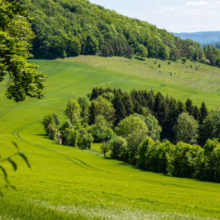 Afbeelding voor Thüringen in Duitsland