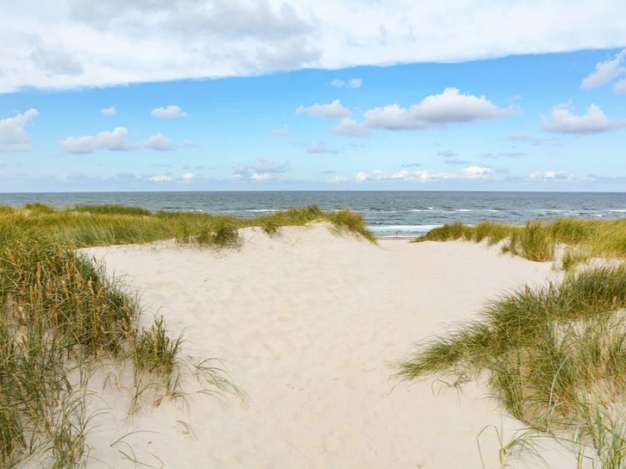 Denemarken natuur