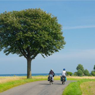 Afbeelding voor Fietsen in Denemarken