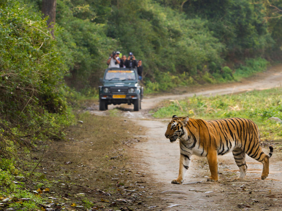 Dieren in Noord-India