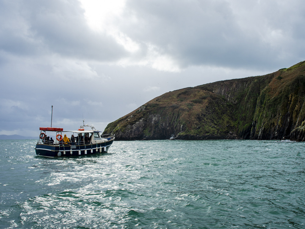 Dolfijnentour in Dingle Bay