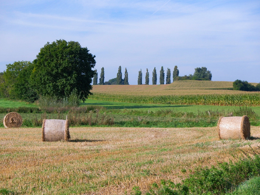 Landschappen Dutch Mountain Trail