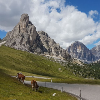 Afbeelding voor Vakantie Italiaanse Alpen