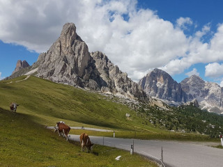 Afbeelding voor Vakantie Italiaanse Alpen