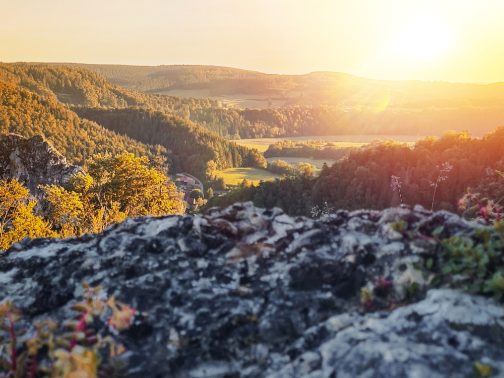 Natuurpark Boven-Donau