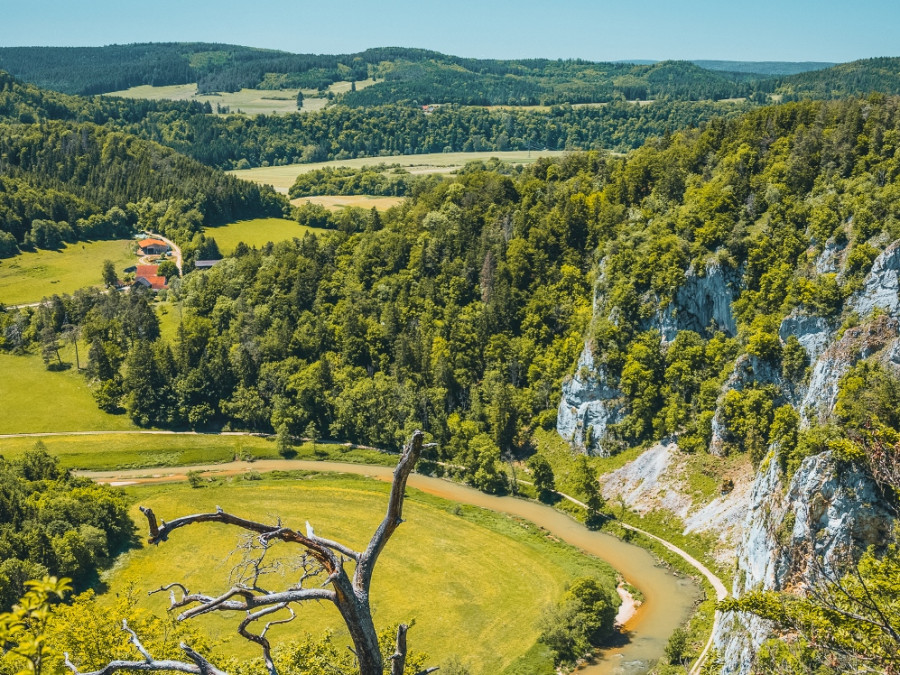 Mooi landschap