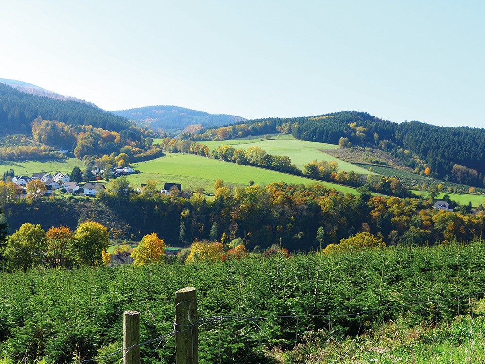 Wandeldorp Schmallenberg