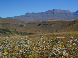 Afbeelding voor Drakensbergen